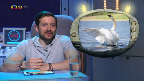 PLANETA YÓ - 26. června