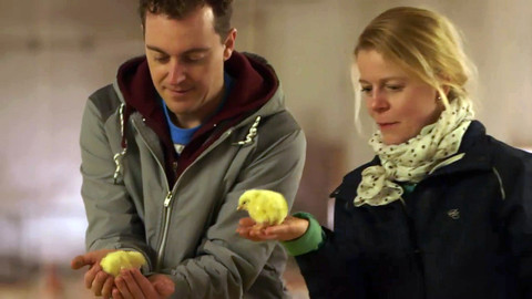 Farmářská jízda - 2/16 Na kuřecí farmu Loužná