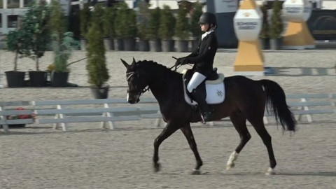 Jezdectví - M ČR pony Zduchovice