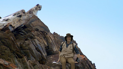 Andy na safari - Levhart sněžný