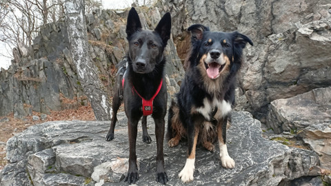 Test iV - Test iV 2025