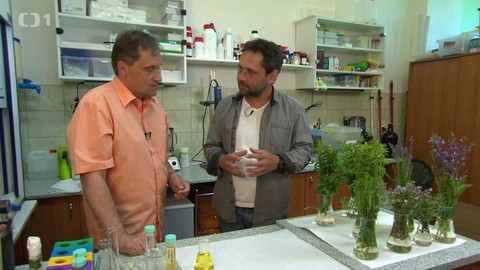 Polopatě - 25. června 2017