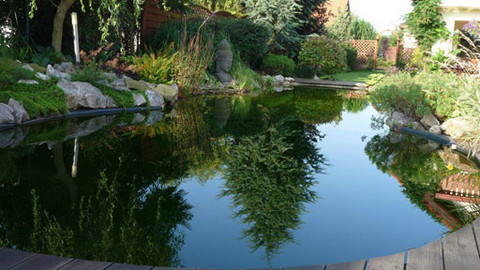 Zahrada pod lupou - 13. září 2012