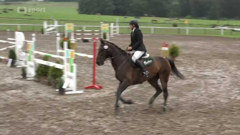 Jezdectví - M ČR ve všestrannosti Vrchovany