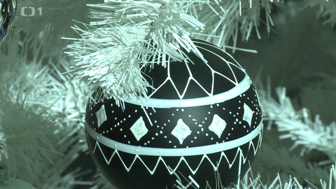 Toulavá kamera - 15. prosince 2024