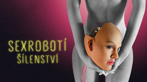 Sexrobotí šílenství