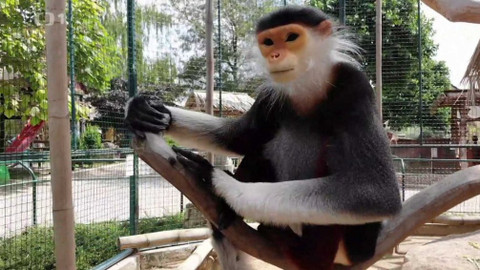 Gejzír - 21. února 2019