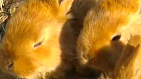 Chcete mě? - 6. listopadu 2009