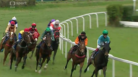 Jezdectví - Velká slušovická steeplechase