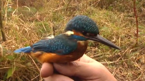 Přidej se - Biokoridory Hornolidečska