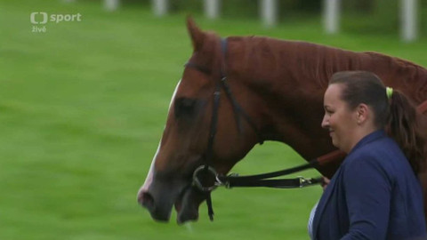 Dostihy - Evropský pohár žokejů 2017