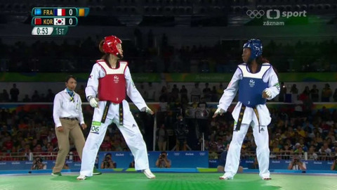 XXXI. letní olympijské hry 2016 Rio de Janeiro - Taekwondo: Ženy do 67 kg / Muži do 80 kg
