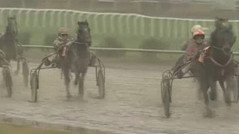 Jezdectví - Velká jarní cena tříletých