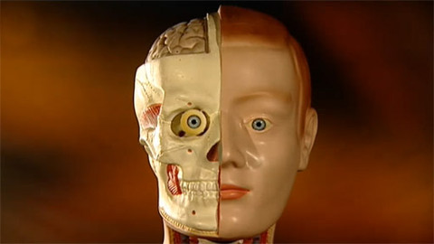 Pod pokličkou - Jak myslíme, tak jíme a jak jíme, tak myslíme