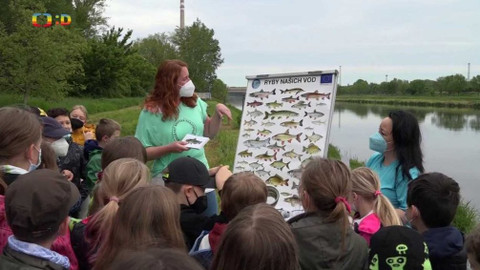 Zprávičky - 24. května 2021