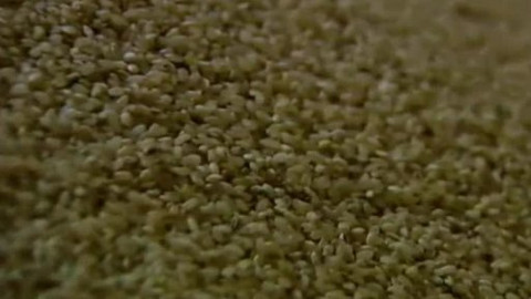 Pod pokličkou - Saké, nákyp, těstoviny - z rýže jsou i laskominy