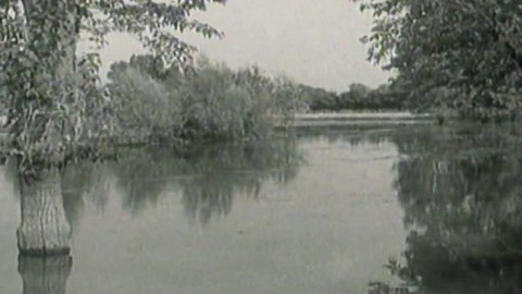 Archiv ČT24 - Člověk versus příroda