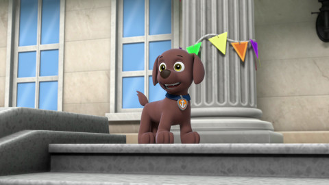 Tlapková patrola - Tlapky zachraňují volby / Tlapky zachraňují bublinkové opičky