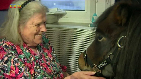 Zprávičky - 2. ledna 2023