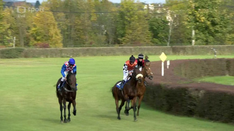 Dostihy - Cena zimního favorita