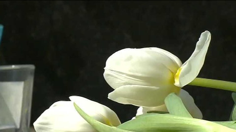 Wiadomości w języku polskim - 29. dubna 2018