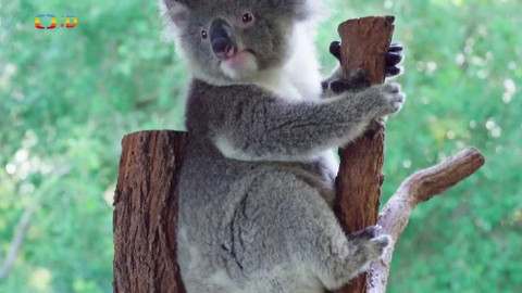 Zprávičky - 19. srpna 2020