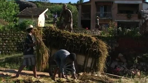 U nás na farmě - 9/26 M´Parany z Madagaskaru