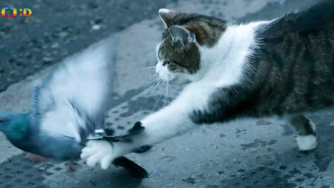 Zprávičky - 15. února