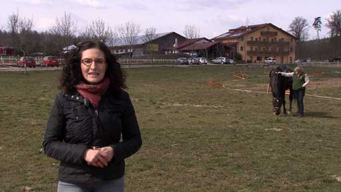 Křesťanský magazín - 26. dubna 2015