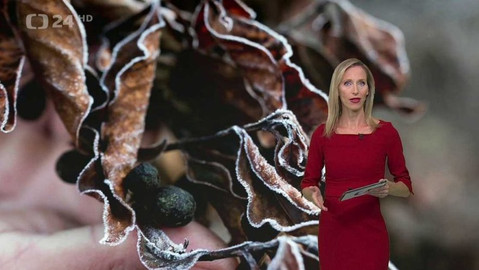 Horizont ČT24 - 2. srpna 2021