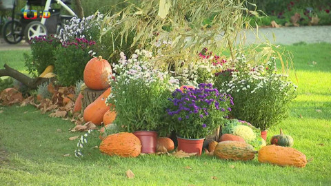 Zprávičky - 27. října 2023