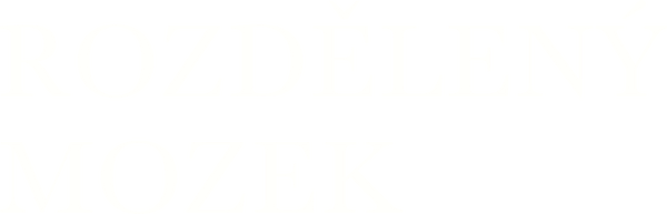 Rozdělený mozek