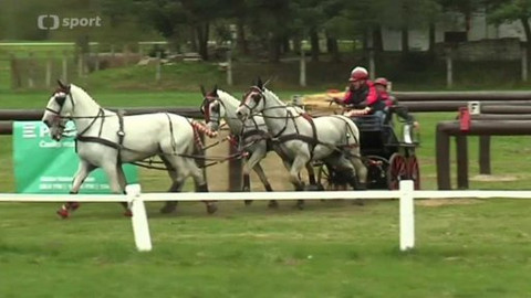 Jezdectví - CAI spřežení Kladruby nad Labem