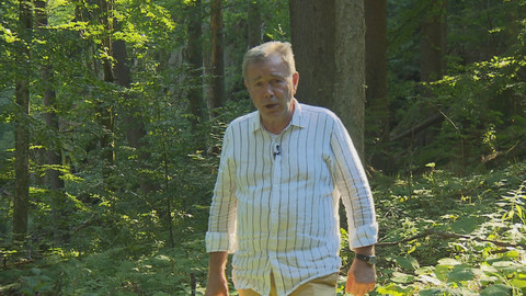 Křesťanský magazín - 29. září 2019