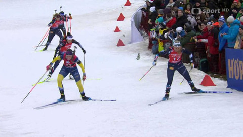 Světový pohár v biatlonu - Německo