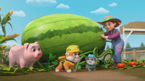 Rubble a jeho parta - Parta staví obří přehradu / Parta zabezpečuje farmu proti veverkám!