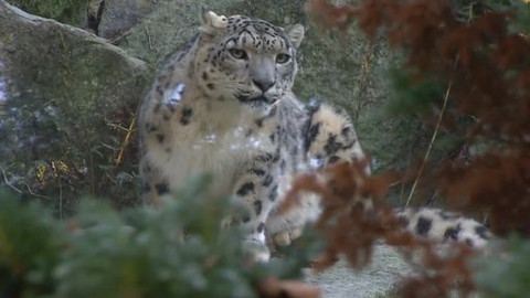 Chcete mě? - 16. listopadu 2014