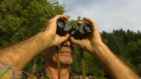 Na větvi - Vyhnal jsem ovečky až na Javorníček