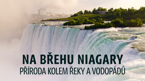 Na břehu Niagary - příroda kolem řeky a vodopádů