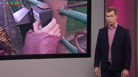 Zprávičky - 6. ledna 2015