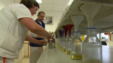 Regiony ČT24 - 19. dubna 2019