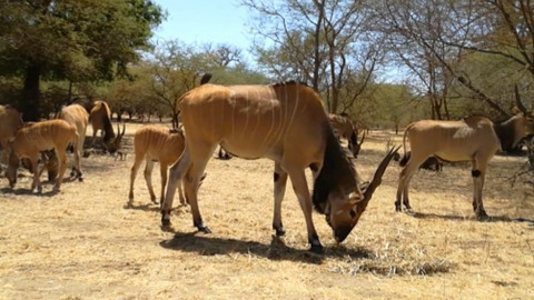 Chcete mě? - 31. března 2019