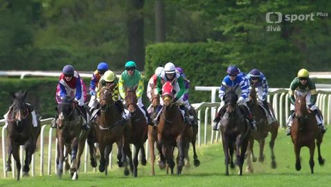 Dostihy - Jarní cena Pardubického závodiště