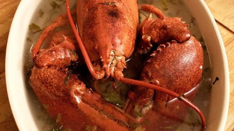 Kluci v akci - Mořské plody