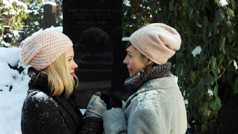 Herbář - Dušičkový