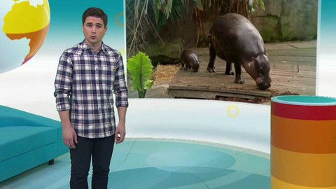 Zprávičky - 27. března 2017