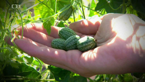 Polopatě - 26. března 2023