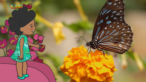 Velká kniha o zvířátkách - Epizoda 3/52