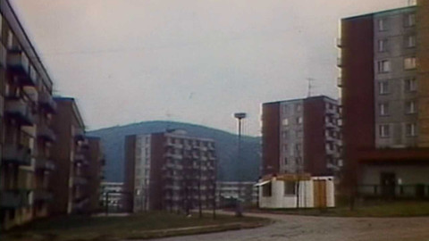 Archiv dne - 19. únor 1980: Smutné ráno pro Wollmanovu ulici