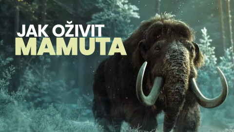 Jak oživit mamuta